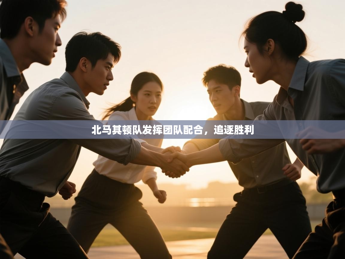 北马其顿队发挥团队配合，追逐胜利  第1张