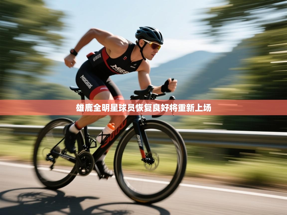 雄鹿全明星球员恢复良好将重新上场